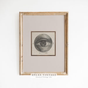 Antique Eye Painting | Vintage Eye Anatomy Print | Dark Academia Printable | Moody Gothic Wall Art | Cottagecore Wall Decor Digital