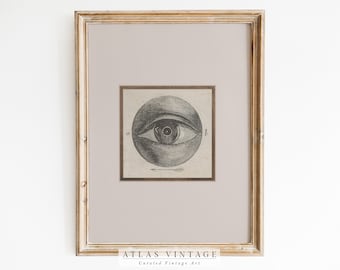 May include: A vintage anatomical illustration of a human eye in black and white. The eye is depicted in a circle with the letters "a" and "b" on either side. The image is framed in a light wood frame with a beige mount. The text "ATLAS VINTAGE Curated Vintage Art" is printed below the image.