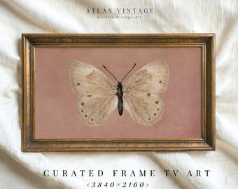 Vintage Butterfly Painting Frame TV Art, Neutral Pink Decor (Digital Download)