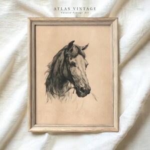 May include: A black and white vintage illustration of a horse's head in a wooden frame. The horse is drawn in a realistic style with detailed features. The image is on a beige background.