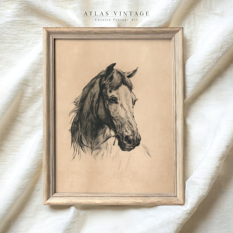 May include: A black and white vintage illustration of a horse's head in a wooden frame. The horse is drawn in a realistic style with detailed features. The image is on a beige background.