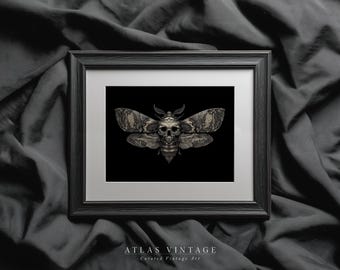 Vintage Halloween Skull Moth Sketch Print, Death Head Insect Ink Drawing Printable Wall Art, Gothic Dark Academia Decor, Digital Download