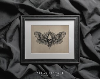 Vintage Halloween Skull Moth Sketch Print, Death Head Insect Ink Drawing Printable Wall Art, Gothic Dark Academia Decor, Digital Download