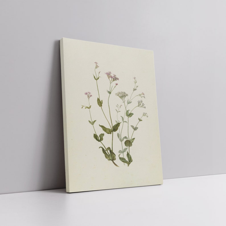 Vintage Botanical Print, Farmhouse Floral Wall Art (digital Download ...