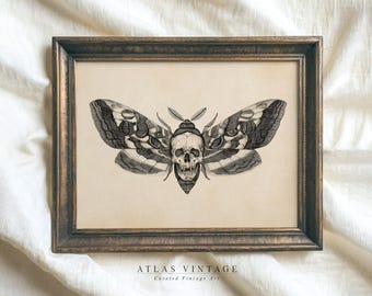 Vintage Halloween Skull Moth Print, Gothic Dark Academia Wall Art (Digital Download)