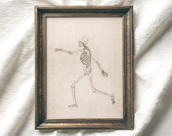Vintage SKELETON Sketch Print | Gothic Halloween Printable Wall art | Dark Academia Cottagecore Decor | Spooky B&W Skeleton Downloadable Art
