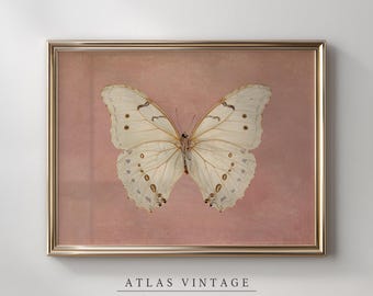 White Butterfly Art Print | Blush Pink Insect Wall Art  - Printed & Shipped