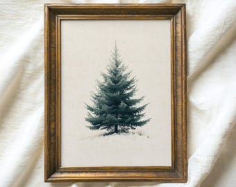 Puede incluir: Una impresión enmarcada que presenta una ilustración detallada de un árbol de hoja perenne azul-verde en un paisaje nevado. La obra de arte está sobre un fondo neutro y enmarcada en un marco de madera dorada. El texto "ATLAS VINTAGE Curated Vintage Art" está en la parte superior.