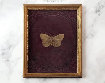 May include: A gold butterfly illustration framed in a gold-colored frame with a dark red background. The frame has a decorative border. The text "ATLAS VINTAGE Curated Vintage Art" is at the top of the image.