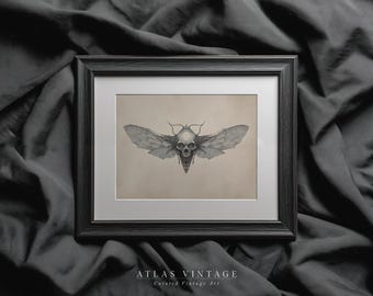 Vintage Halloween Skull Moth Sketch Print, Death Head Insect Ink Drawing Printable Wall Art, Gothic Dark Academia Decor, Digital Download