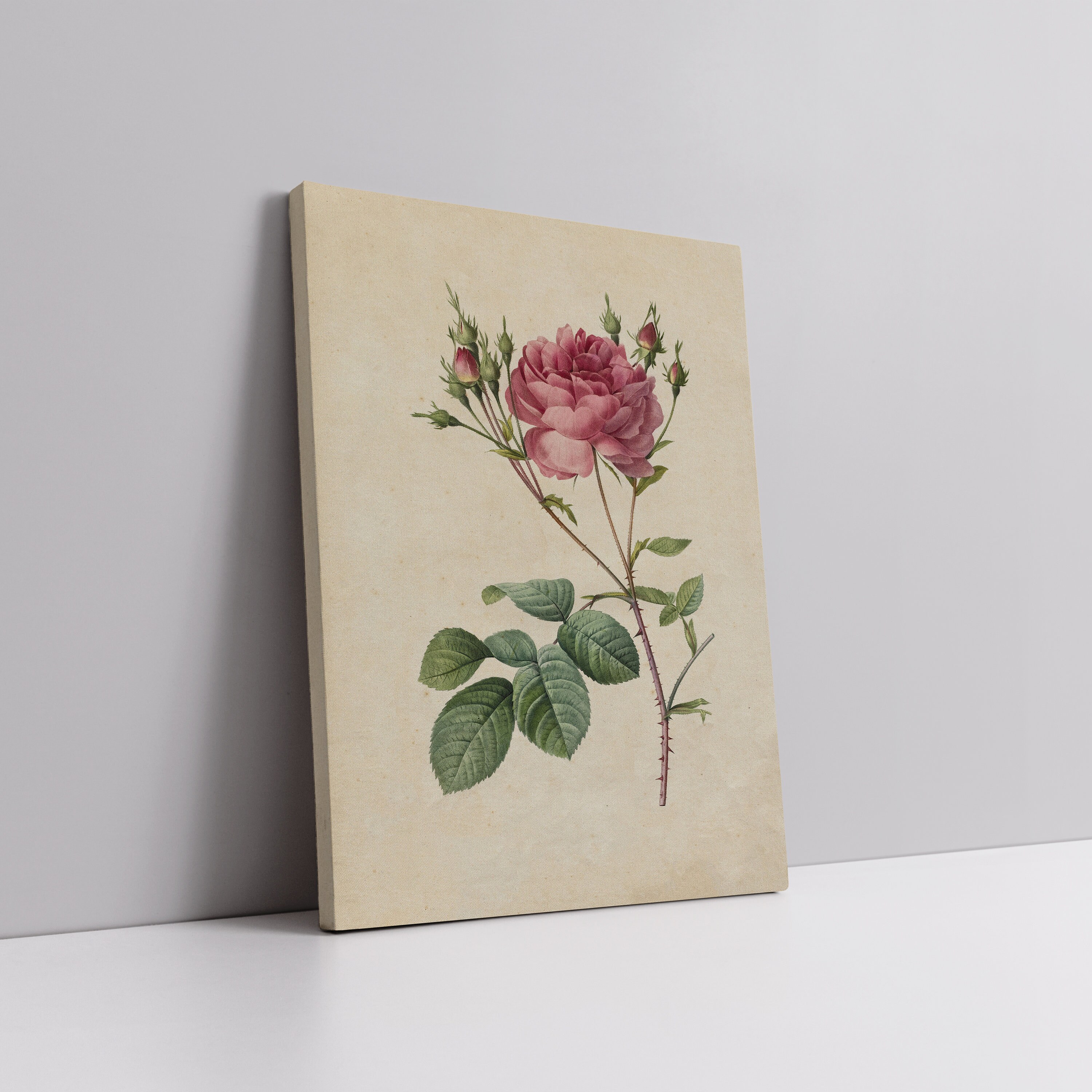 Vintage Floral Wall Art, Antique Rose Print, Pink Flower Sketch ...