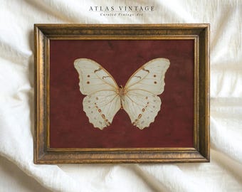 May include: A framed print of a white butterfly with brown markings on a dark red background. The frame is gold with a raised edge. The text "ATLAS VINTAGE Curated Vintage Art" is at the top of the print.