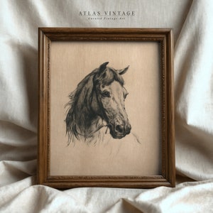 May include: A framed black and white drawing of a horse's head. The horse is looking to the left and has a long mane. The frame is brown wood with a decorative border.