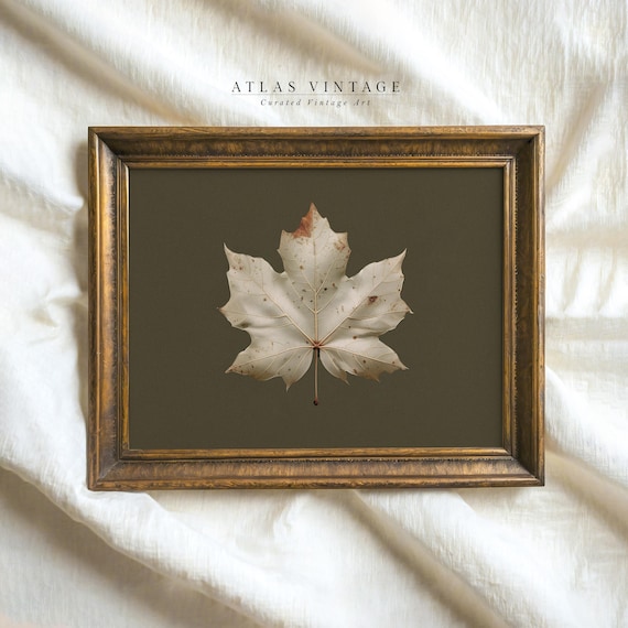 Vintage Fall Leaf Print | Neutral Rustic Farmhouse Printable Wall Art | Autumn Maple Leaf Painting | Cottagecore Sage green Decor Digital
