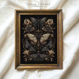 May include: A framed print with a black background featuring a symmetrical design of gold and black moths and flowers. The text "ATLAS VINTAGE Curated Vintage Art" is at the top of the print.