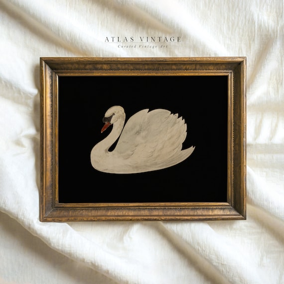 Vintage White Swan Print | Minimalist Neutral Printable Wall Art | Modern Farmhouse Decor | Digital Download | Bird Watercolor Painting