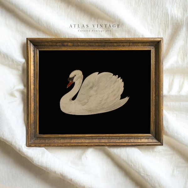 Vintage White Swan Print | Minimalist Neutral Printable Wall Art | Modern Farmhouse Decor | Digital Download | Bird Watercolor Painting