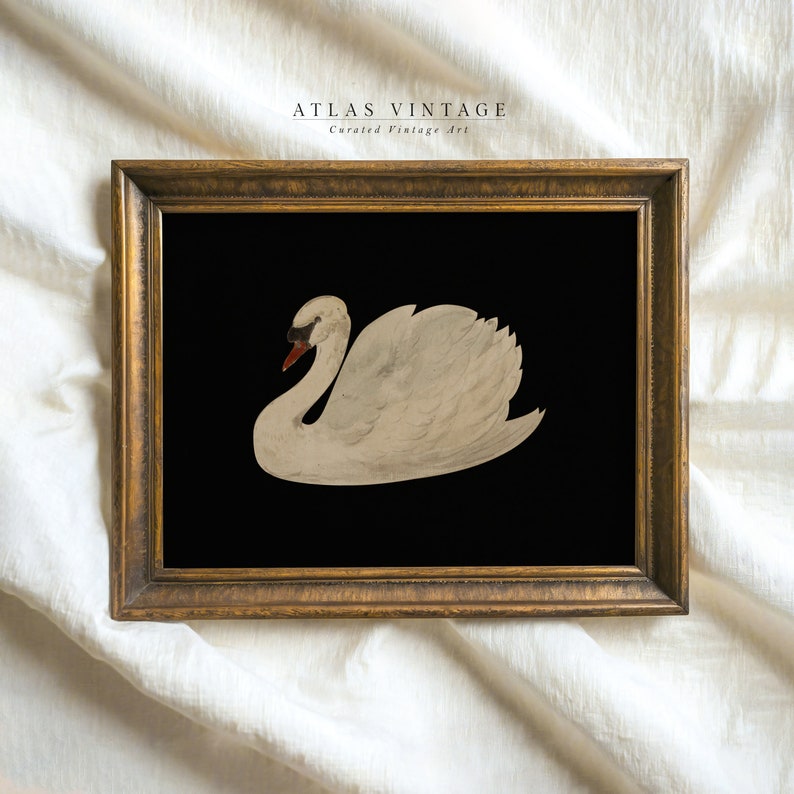 Vintage White Swan Print