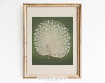 Vintage Peacock Print | Japanese Woodblock Art (Digital Download)