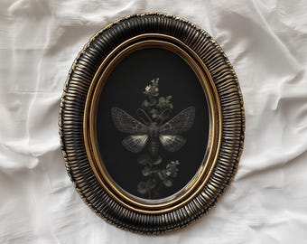 Impresión de pintura de polilla gótica vintage: Decoración botánica de insectos de Dark Academia (descarga digital)