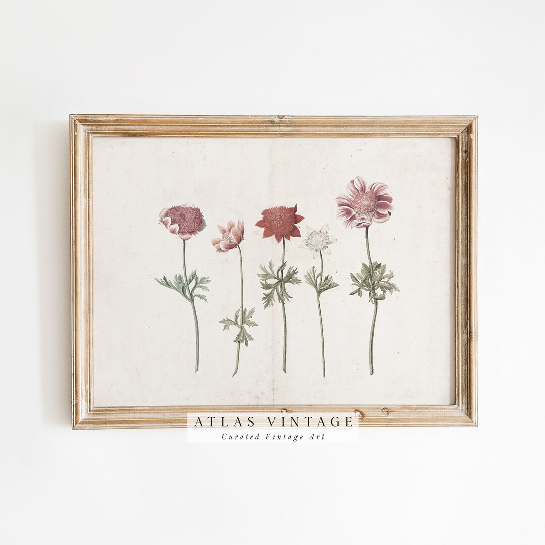 Vintage Botanical Print | Rustic Watercolor Flower Art (digital ...