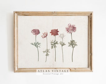 Vintage Botanical Print | Rustic Watercolor Flower Art (Digital Download)