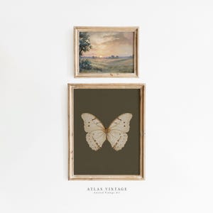 Vintage Set of 2 Sage Green Prints, Moody Gallery Wall Set, Antique Butterfly Painting Decor, Muted Sunset Landscape Printable Digital Print