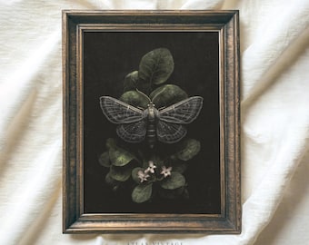 Impresión de pintura de polilla gótica vintage: Decoración botánica de insectos de Dark Academia (descarga digital)