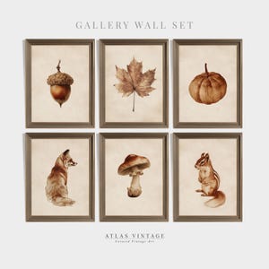 May include: Gallery wall set featuring six framed prints with a vintage aesthetic. The prints depict an acorn, maple leaf, pumpkin, fox, mushroom, and squirrel in warm, earthy tones. The text "GALLERY WALL SET" and "ATLAS VINTAGE" are visible.