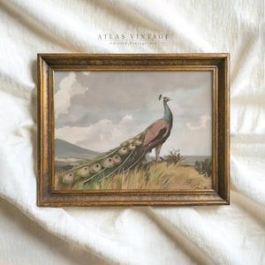 Modern Printable Peacock Painting Wall art, Vintage Bird in Nature Landscape Print, Moody Country Farmhouse Decor, Digital Download