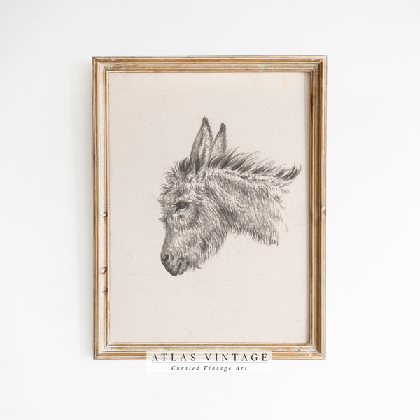 Antique Nursery Print, Vintage Donkey Sketch, Animal Pencil Drawing Printable Wall Art, French Country Decor, Kids Room Decor Digital