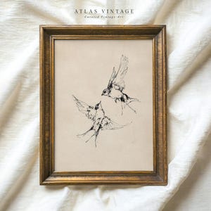Puede incluir: Lámina de arte vintage enmarcada con dos pájaros en vuelo, dibujados con tinta negra sobre un fondo beige. La obra de arte está enmarcada en un marco de madera dorada, con el texto "ATLAS VINTAGE Curated Vintage Art" en la parte superior.