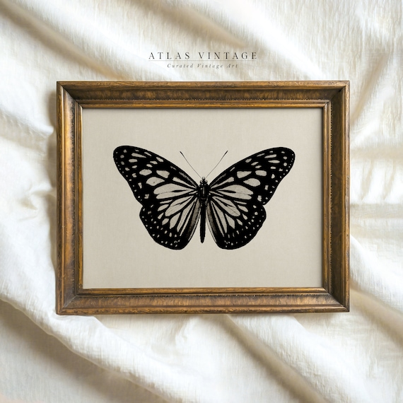 Vintage Black Butterfly Sketch Print | Moody Insect Dark Academia Wall Art | Gothic Moth Painting | Printable Digital Download Decor