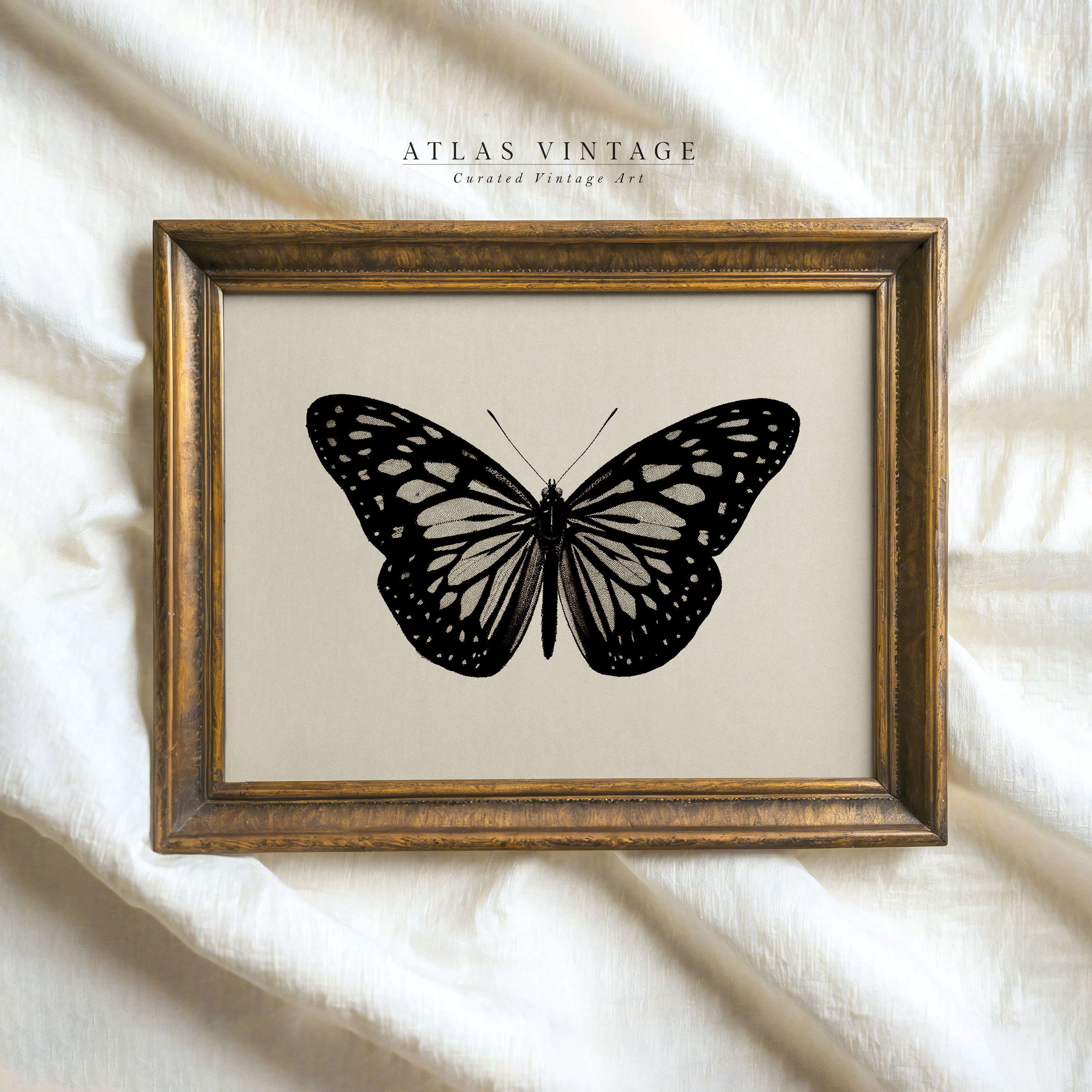 Vintage Black Butterfly Sketch Print | Moody Insect Dark Academia Wall ...