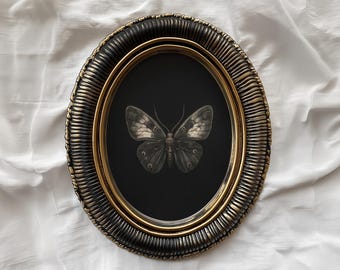Impresión de pintura de polilla gótica vintage: Decoración botánica de insectos de Dark Academia (descarga digital)