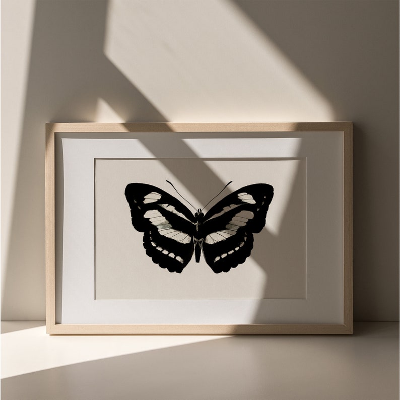 Gothic moth painting in vintage style
