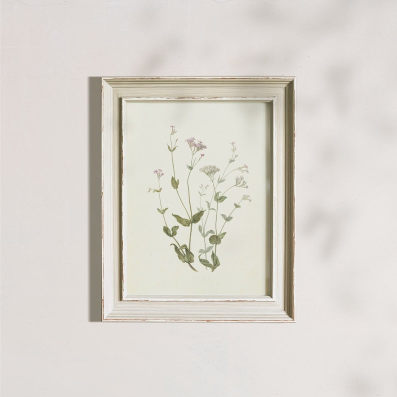 Vintage Botanical Print, Farmhouse Floral Wall Art (digital Download ...