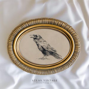 May include: An oval, gold-colored framed print featuring a detailed black and white drawing of a raven with an open beak. The frame has a textured, ridged design. The text "ATLAS VINTAGE Curated Vintage Art" is at the bottom.