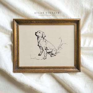 Op de afbeelding: Een zwart-witte lijntekening van een hond die op een veld zit. De tekening is ingelijst in een gouden lijst. De tekst "ATLAS VINTAGE Curated Vintage Art" staat bovenaan de lijst.