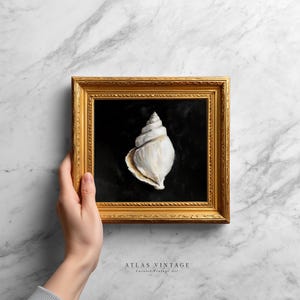 Vintage Seashell Painting Print, Minimalist Beach Shell Printable Wall Art, Coastal Summer Cottagecore Decor, Digital Download