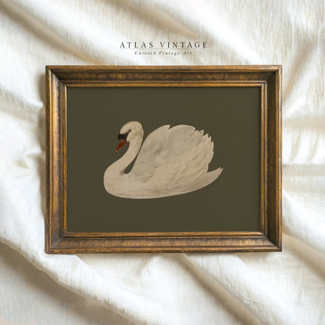 Vintage White Swan Watercolor Painting | Minimalist Neutral Wall Art | Printable Farmhouse Saige Green Decor | Digital Download