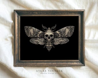 Vintage Skull Moth Print, Gothic Halloween Decor (Digital Download)