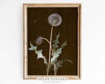 Vintage Dandelion Print | Dark Botanical Victorian Art (Digital Download)