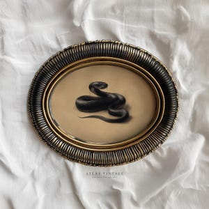 May include: Oval framed artwork depicting a black snake illustration. The frame has a textured, dark bronze finish with a gold inner border. The snake is coiled on a tan background. The text "ATLAS VINTAGE" is at the bottom.