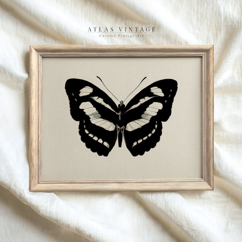 May include: A framed print of a black and white butterfly illustration. The print is on a beige background and has the text "ATLAS VINTAGE Curated Vintage Art" at the top.