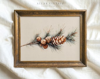 May include: A framed botanical print featuring a detailed watercolor illustration of a pine branch with several pine cones. The artwork has a vintage aesthetic, with a warm color palette and the text "ATLAS VINTAGE Curated Vintage Art".