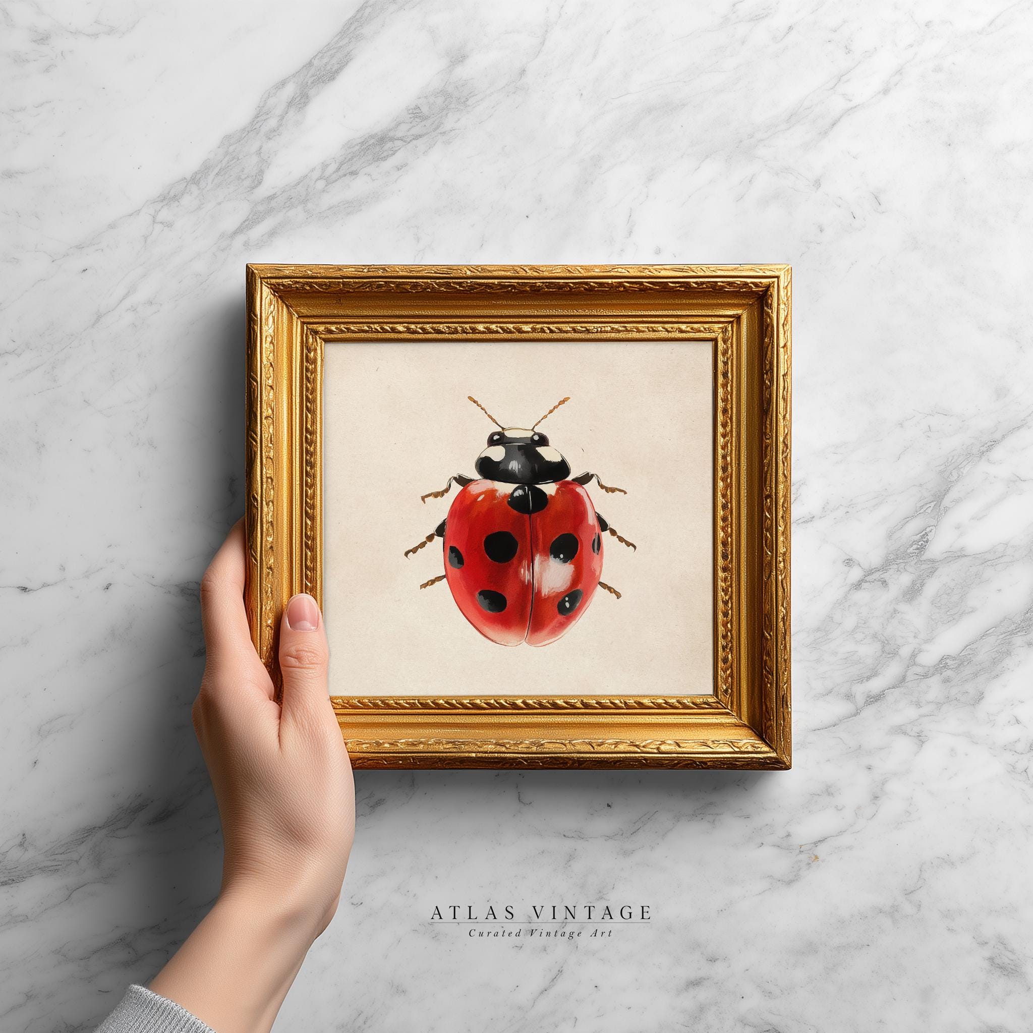 Vintage Ladybug Painting Print, Red Insect Nursery Printable Wall Art ...