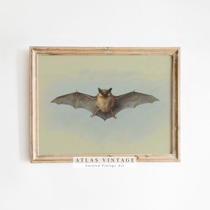 Vintage Bat Painting Print, Dark Academia Printable Wall Art, Digital Download, Cottagecore Decor
