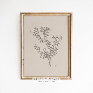 Rustic Botanical Print | Black & White Nursery Wall Art | Floral Farmhouse Wall Decor | Vintage Botanical Bedroom Decor | Digital Printable