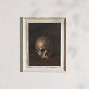 May include: A white human skull in a vintage, white frame. The skull is resting on a dark brown surface. The frame has a distressed, white paint finish.